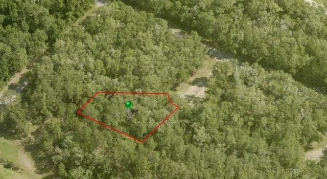 Photo of 9930 N Joel Pt, Citrus Springs, FL 34434