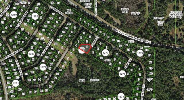 Photo of 9930 N Joel Pt, Citrus Springs, FL 34434