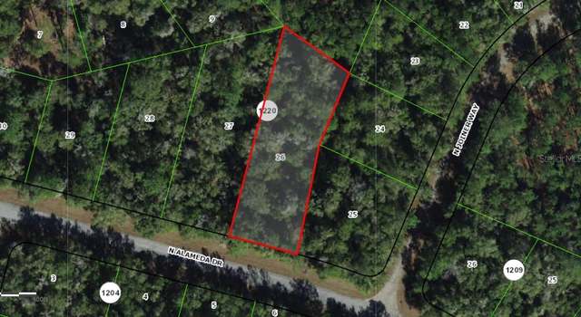 Photo of 8301 N Alameda Dr, Citrus Springs, FL 34434