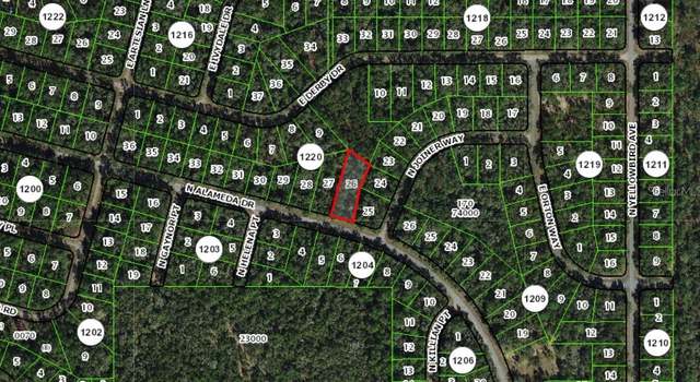 Photo of 8301 N Alameda Dr, Citrus Springs, FL 34434