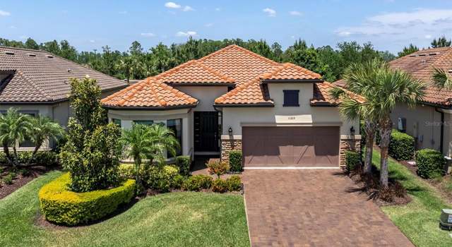 Photo of 11325 Juglans Dr, Odessa, FL 33556