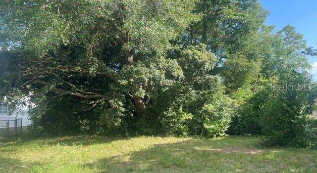 Photo of TBD SW 81st St, Dunnellon, FL 34431