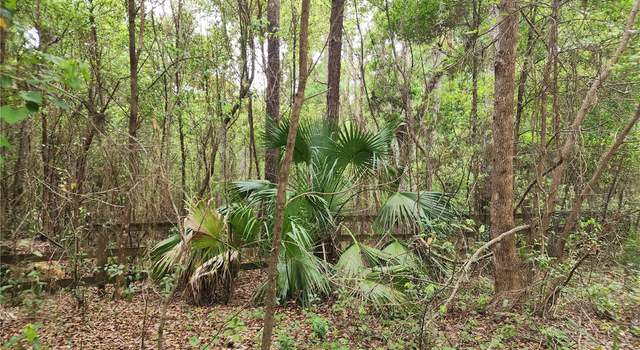 Photo of 15363 SE 156th Place Rd, Weirsdale, FL 32195
