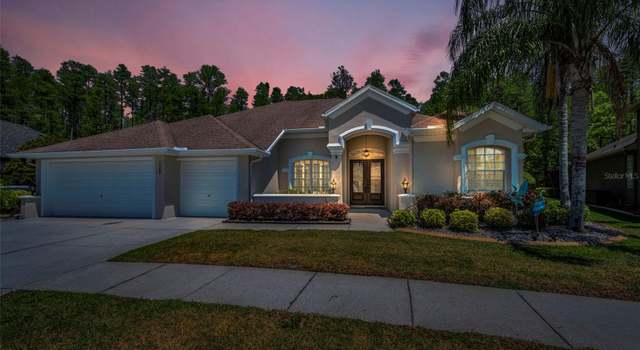 Photo of 15229 Wind Whisper Dr, Odessa, FL 33556
