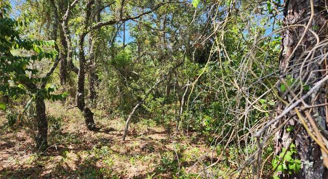 Photo of 0 Day Owl Ave Lot 7, Weeki Wachee, FL 34613