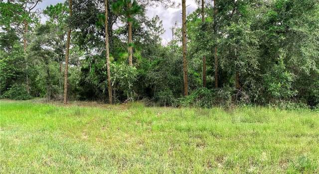 Photo of 30th St, Morriston, FL 32668
