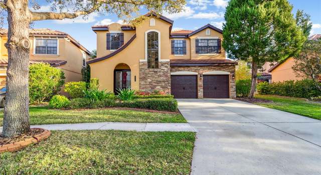 Photo of 20323 Chestnut Grove Dr, Tampa, FL 33647