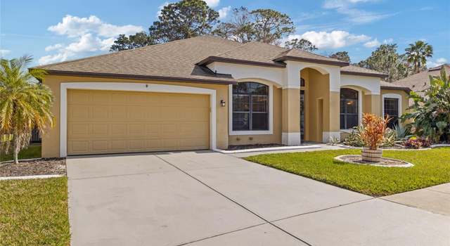 Photo of 10918 Rain Lilly Pass, Land O Lakes, FL 34638