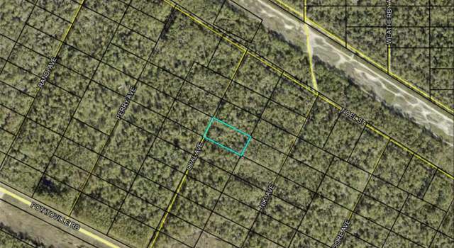 Photo of Opal Ave, Hastings, FL 32145