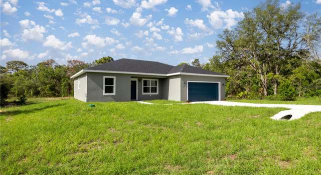 Photo of 142 Guava Pass, Ocklawaha, FL 32179