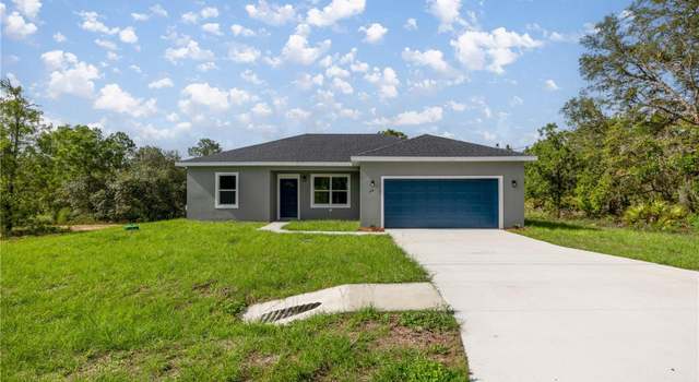 Photo of 142 Guava Pass, Ocklawaha, FL 32179