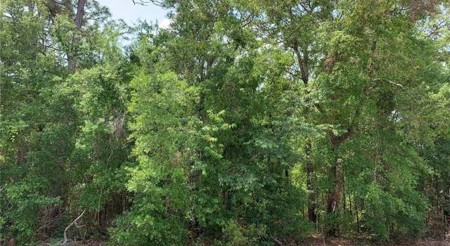 Photo of 2922 W Mesa Verde Dr, Beverly Hills, FL 34465