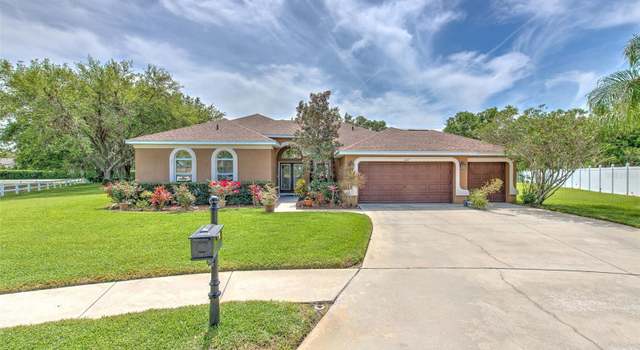 Photo of 3217 Partridge Point Trl, Valrico, FL 33596