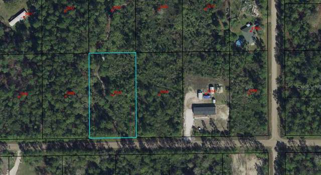 Photo of 5576 Palm Ave, Bunnell, FL 32110