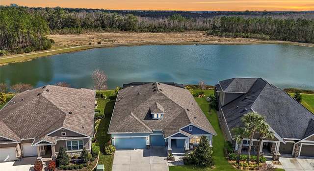 Photo of 4594 Tour Trce, Land O Lakes, FL 34638
