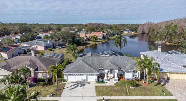 Photo of 5471 Stallion Lake Dr, Palm Harbor, FL 34685