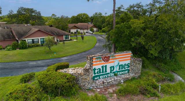 Photo of 10718 Fiddlesticks Ct, New Port Richey, FL 34654