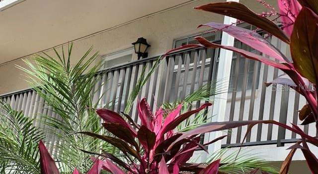 Photo of 840 Virginia St #202, Dunedin, FL 34698