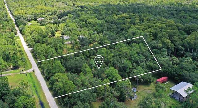 Photo of SW Ali Ter, Arcadia, FL 34266