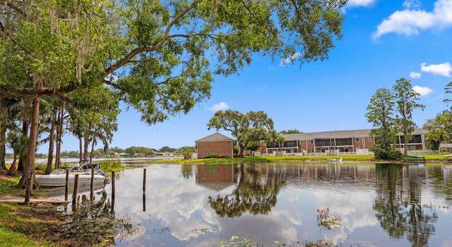 Photo of 13751 Juniper Blossom Dr, Tampa, FL 33618