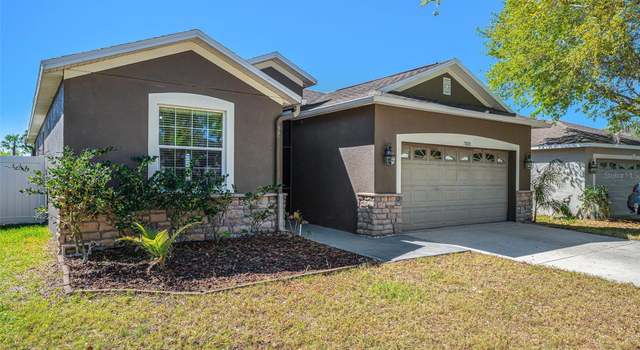 Photo of 13820 Chalk Hill Pl, Riverview, FL 33579