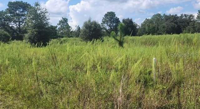 Photo of Lot 32 SW Cardinal Ave, Dunnellon, FL 34431