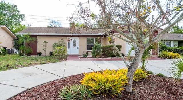 Photo of 10841 Casa Grande Ave, Port Richey, FL 34668