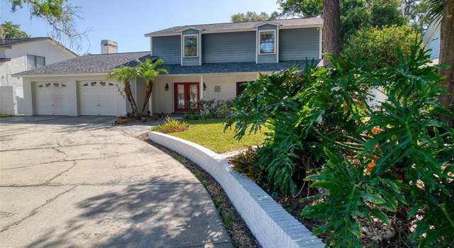 Photo of 4605 Apple Ridge Ln, Tampa, FL 33624