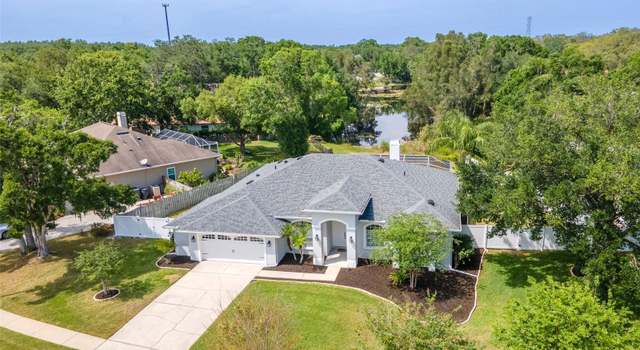 Photo of 17205 Tiffany Shore Dr, Lutz, FL 33549