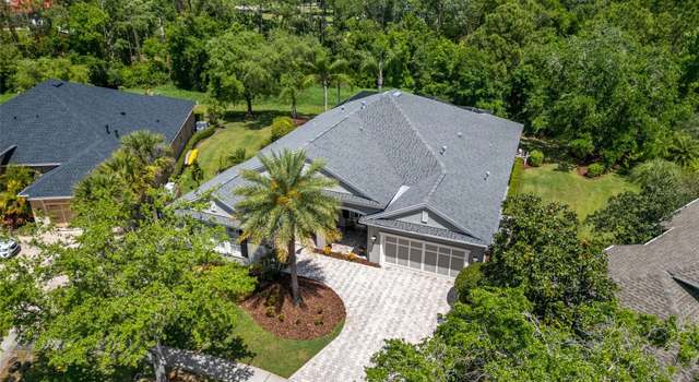 Photo of 14817 Tudor Chase Dr, Tampa, FL 33626