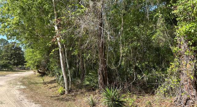 Photo of Airport Rd, Astor, FL 32102