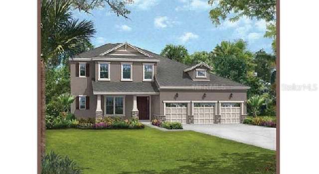 Photo of 10620 Mistflower Ln, Tampa, FL 33647