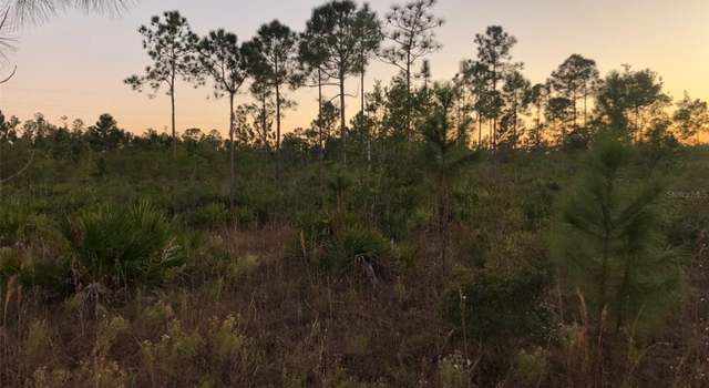 Photo of 0 Heron Ct, Indian Lake Estates, FL 33855