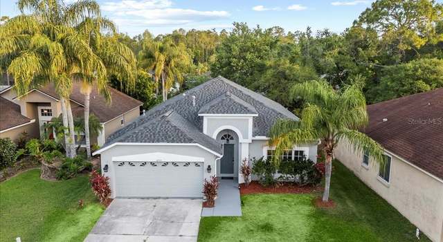 Photo of 12531 Blazing Star Dr, Tampa, FL 33626