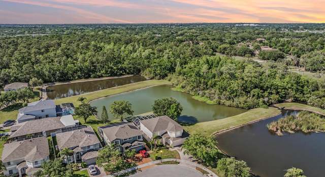 Photo of 417 Ventura Dr, Oldsmar, FL 34677