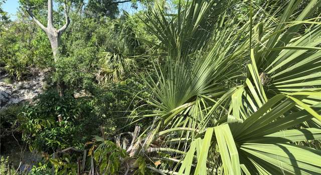 Photo of 7425 Riverbank Dr, New Port Richey, FL 34655