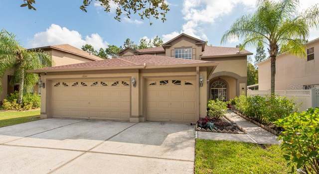 Photo of 18141 Sandy Pointe Dr, Tampa, FL 33647