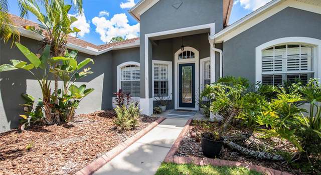 Photo of 19211 Pelican Ridge Ln, Tampa, FL 33647