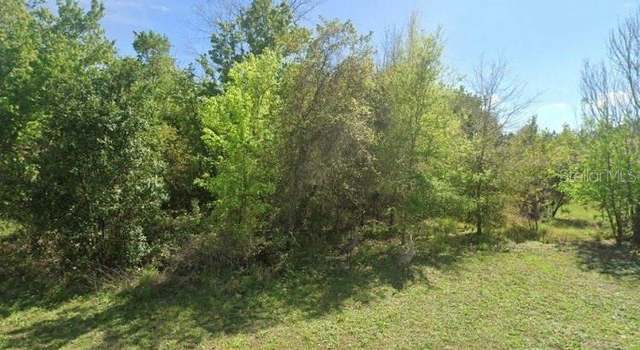 Photo of 28802 Hibiscus Ave, Paisley, FL 32767