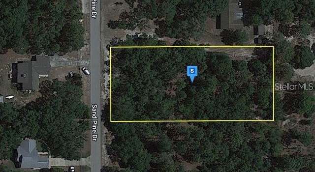 Photo of 18212 Sand Pine Dr, Spring Hill, FL 34610