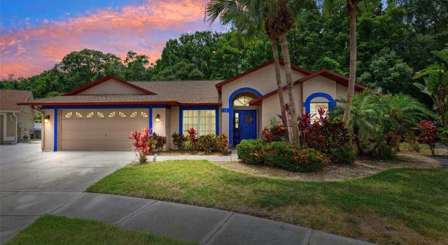 Photo of 6505 Broadwing Ct, Tampa, FL 33625