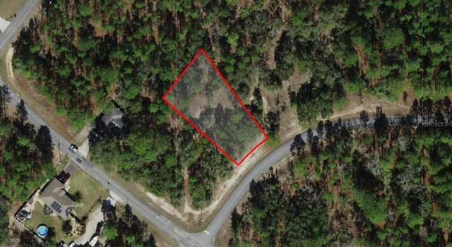 Photo of 1001 W Bannister Dr, Citrus Springs, FL 34434