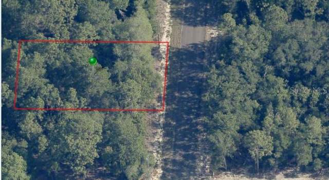 Photo of 8862 N Spartan Dr, Citrus Springs, FL 34433