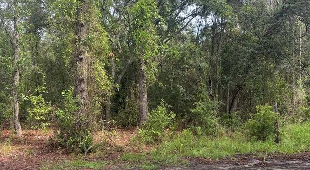 Photo of 72nd Pl NE, East Bronson, FL 32621