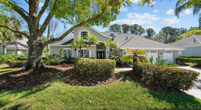 Photo of 12117 Clear Harbor Dr, Tampa, FL 33626