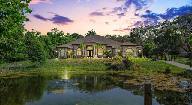 Photo of 16291 Eagle View Dr, Spring Hill, FL 34610