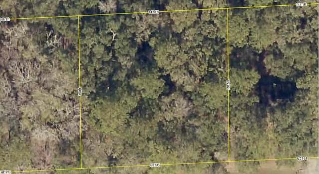 Photo of 237 SW Bambi Ln, Lake City, FL 32025
