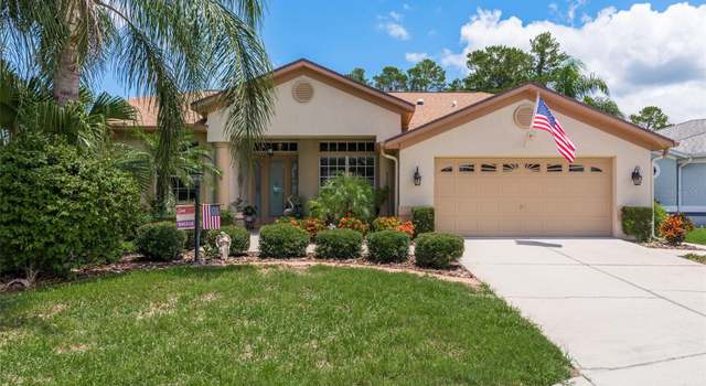 Photo of 11439 Dorian Ct, New Port Richey, FL 34654