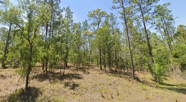 Photo of Redwing Rd, Dunnellon, FL 34431