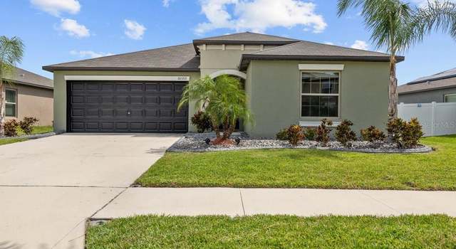 Photo of 10333 Scarlet Skimmer Dr, Riverview, FL 33578